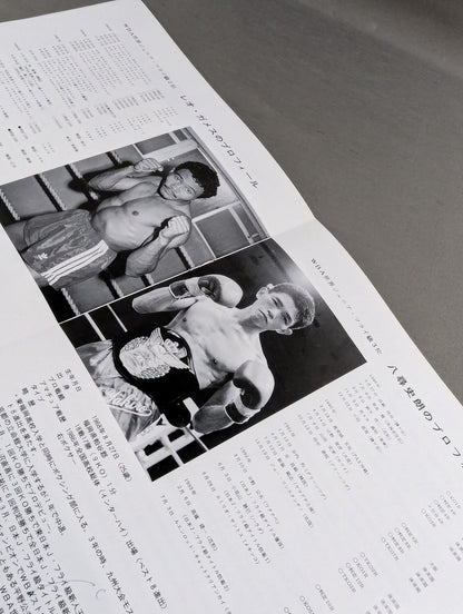 【WBA世界Jフライ級王座決定戦】レオ･ガメスvs八尋史朗