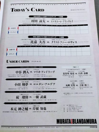【WBA世界ミドル級タイトルマッチ】村田諒太vsブランダムラ