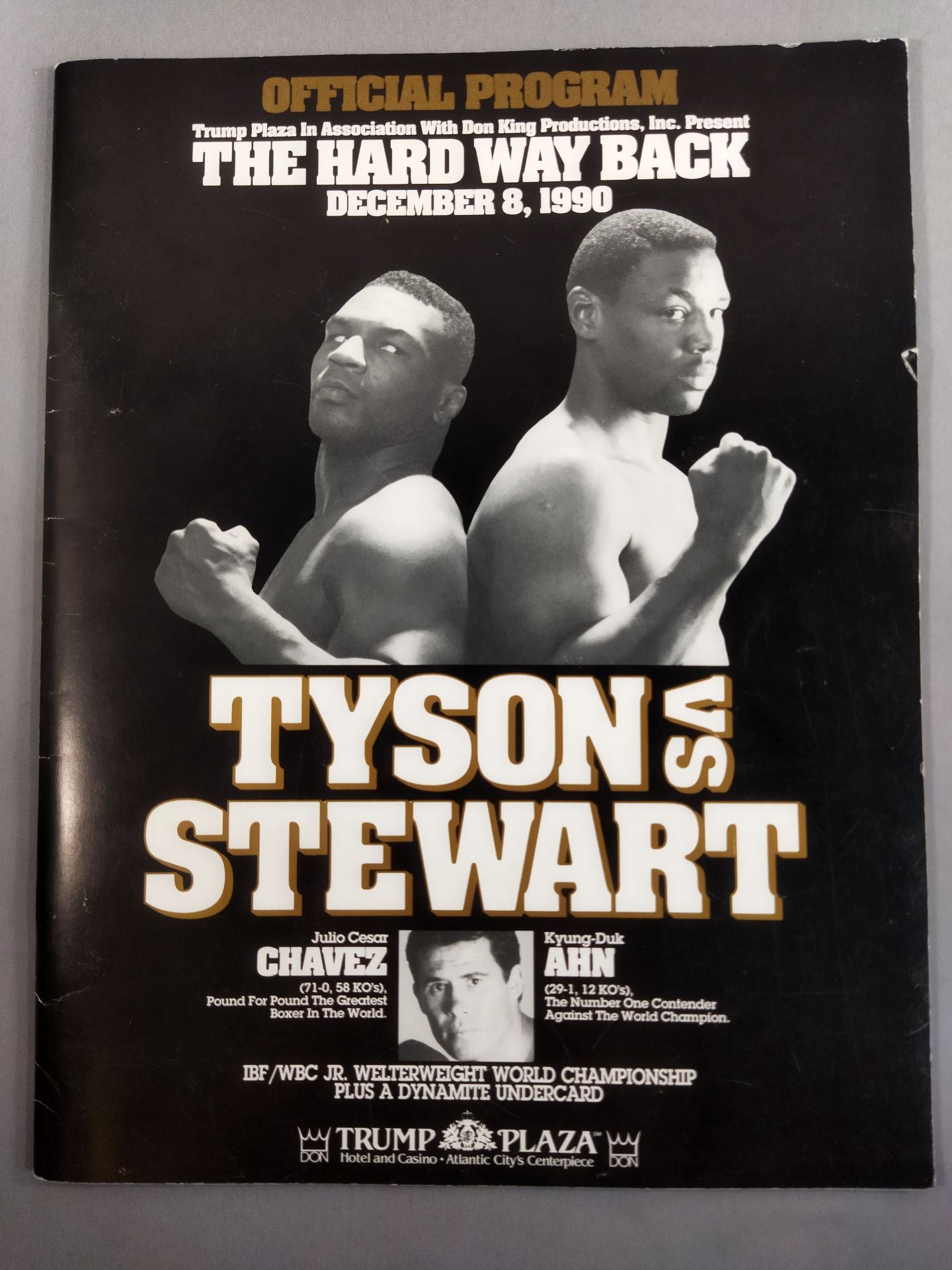 マイク・タイソンvsアレックス・スチュワート