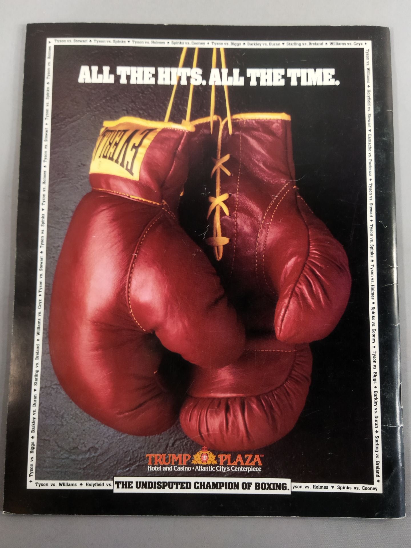 マイク・タイソンvsアレックス・スチュワート