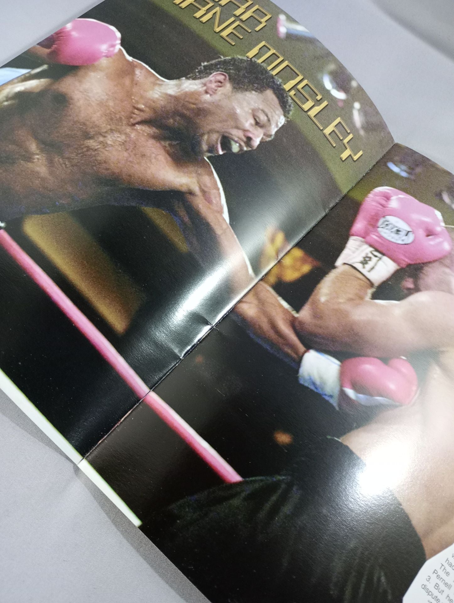 シェーン・モズリーvsアドリアン・ストーン – 闘道館