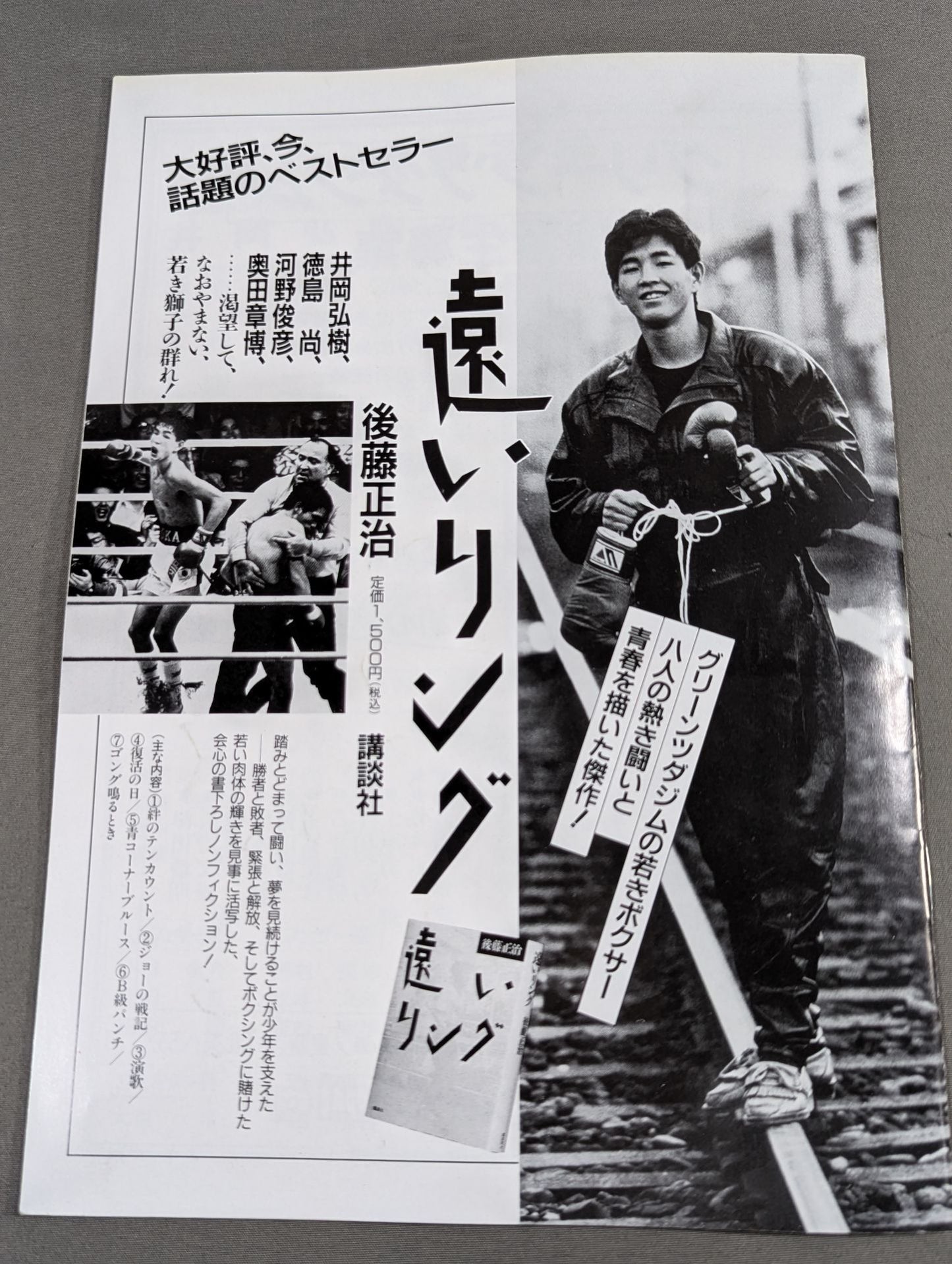 【WBA世界Jフライ級タイトルマッチ】井岡弘樹vs柳明佑(再戦)