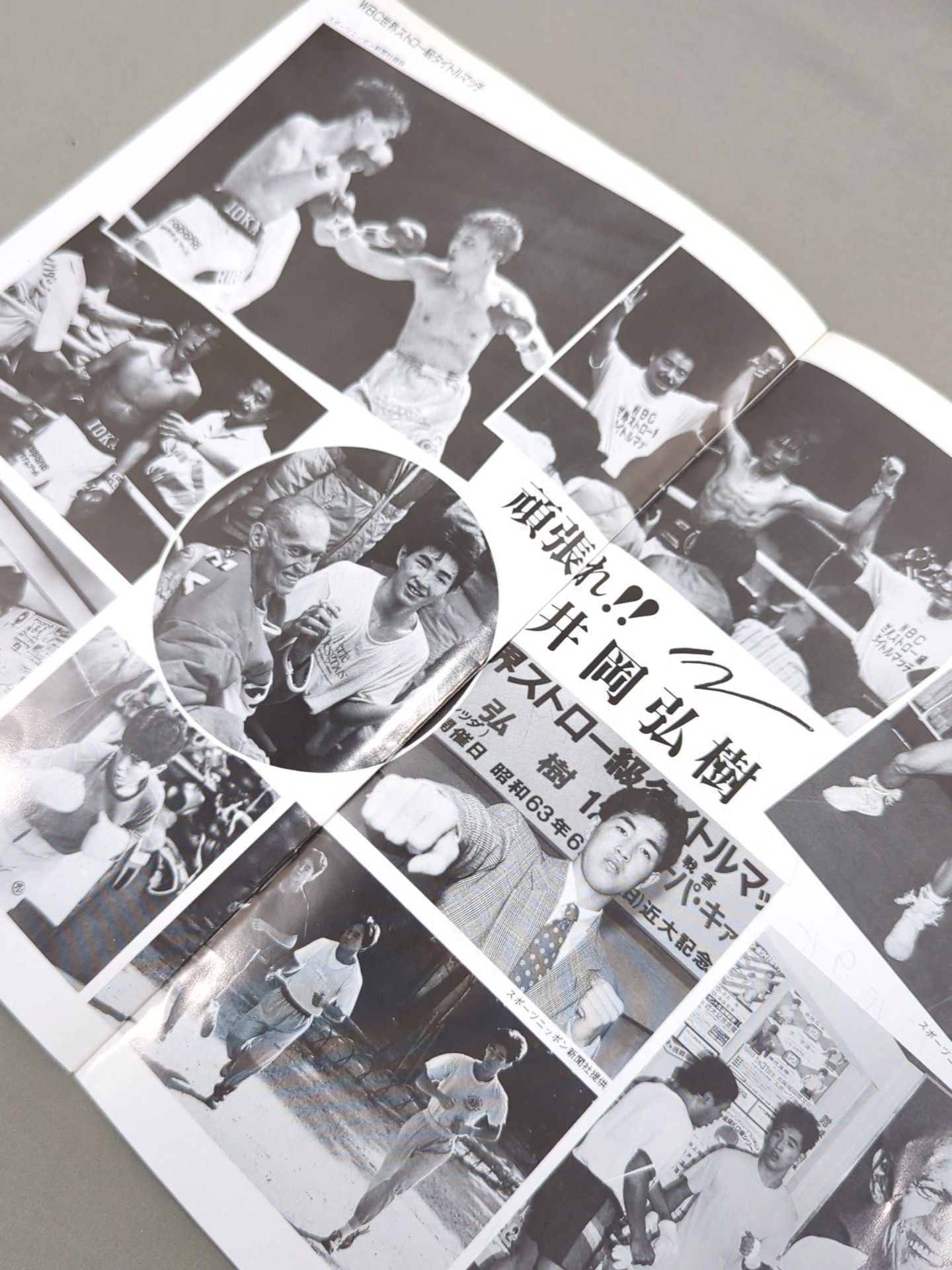 WBA世界フライ級タイトルマッチ　グリマンvs井岡弘樹　パンフレット WBA世界フライ級タイトルマッチ グリマンvs井岡弘樹 パンフレット WBA