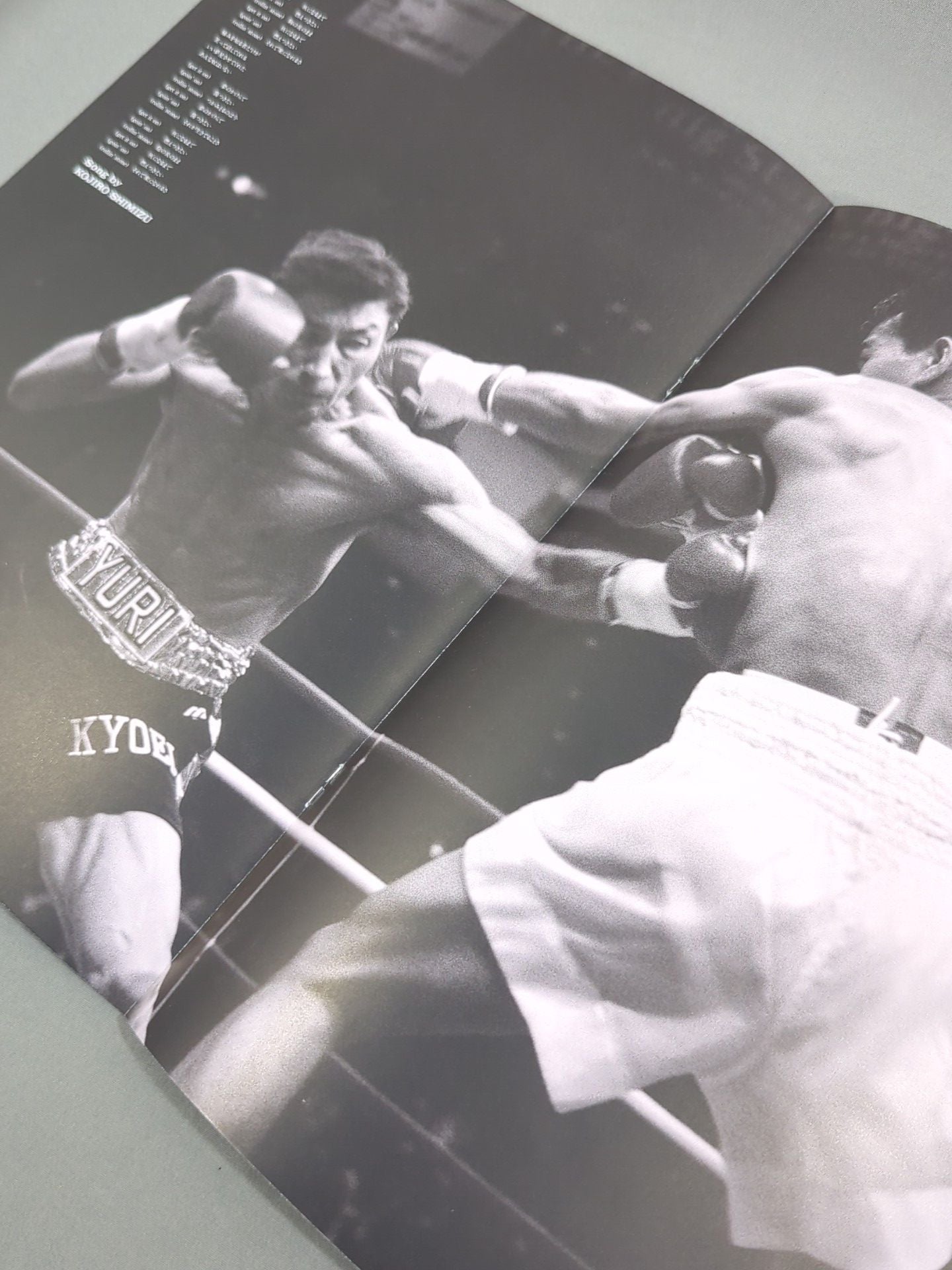 旧ソ連、初の世界王者誕生　勇利アルバチャコフvsムアンチャイ　ボクシングパンフ 勇利アルバチャコフWBC世界フライ級（…：「世界」を獲った