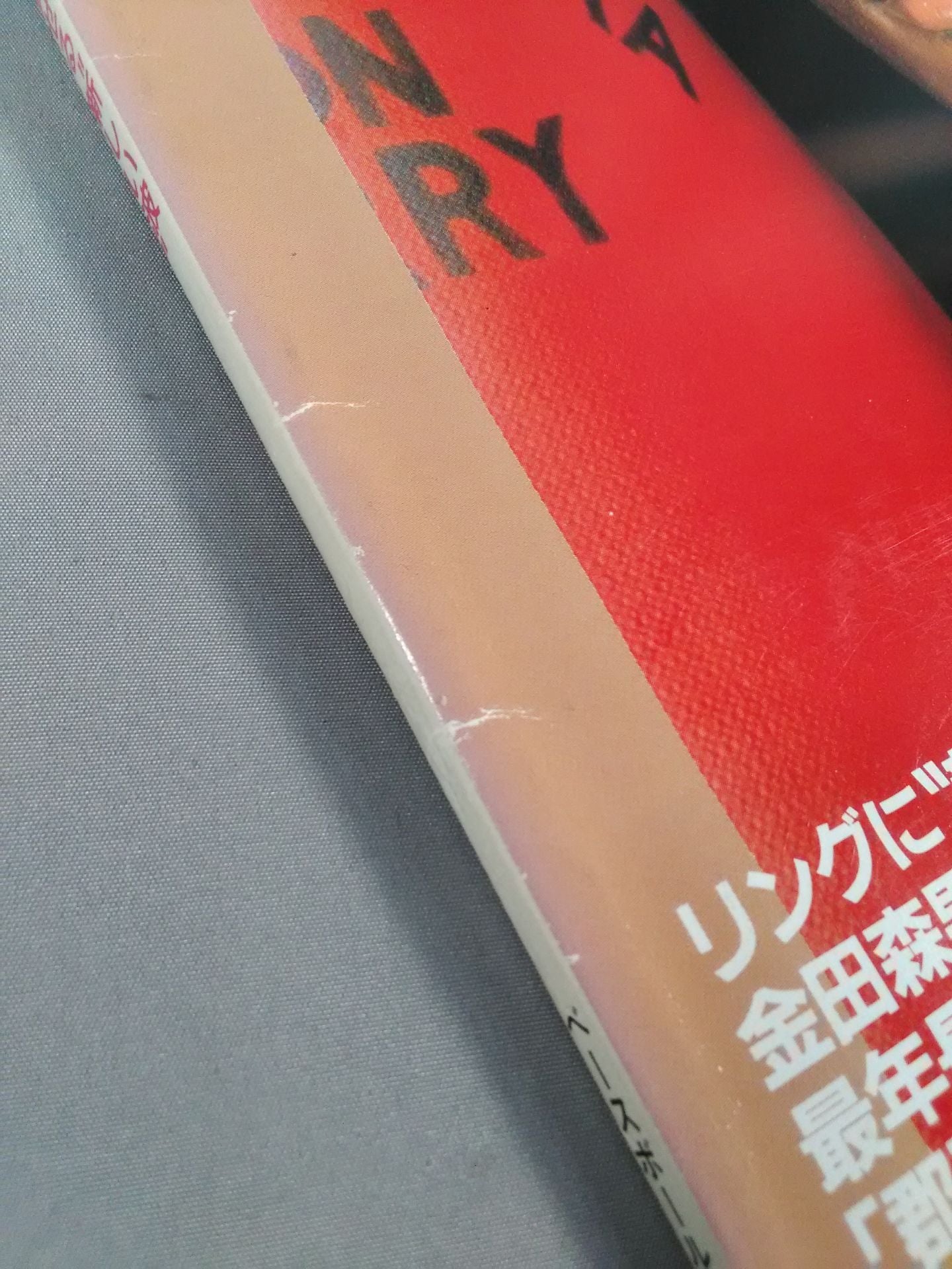 ボクシングマガジン195