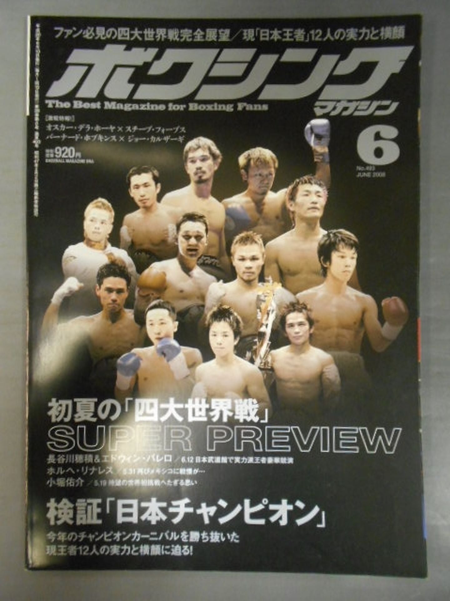 ボクシングマガジン493