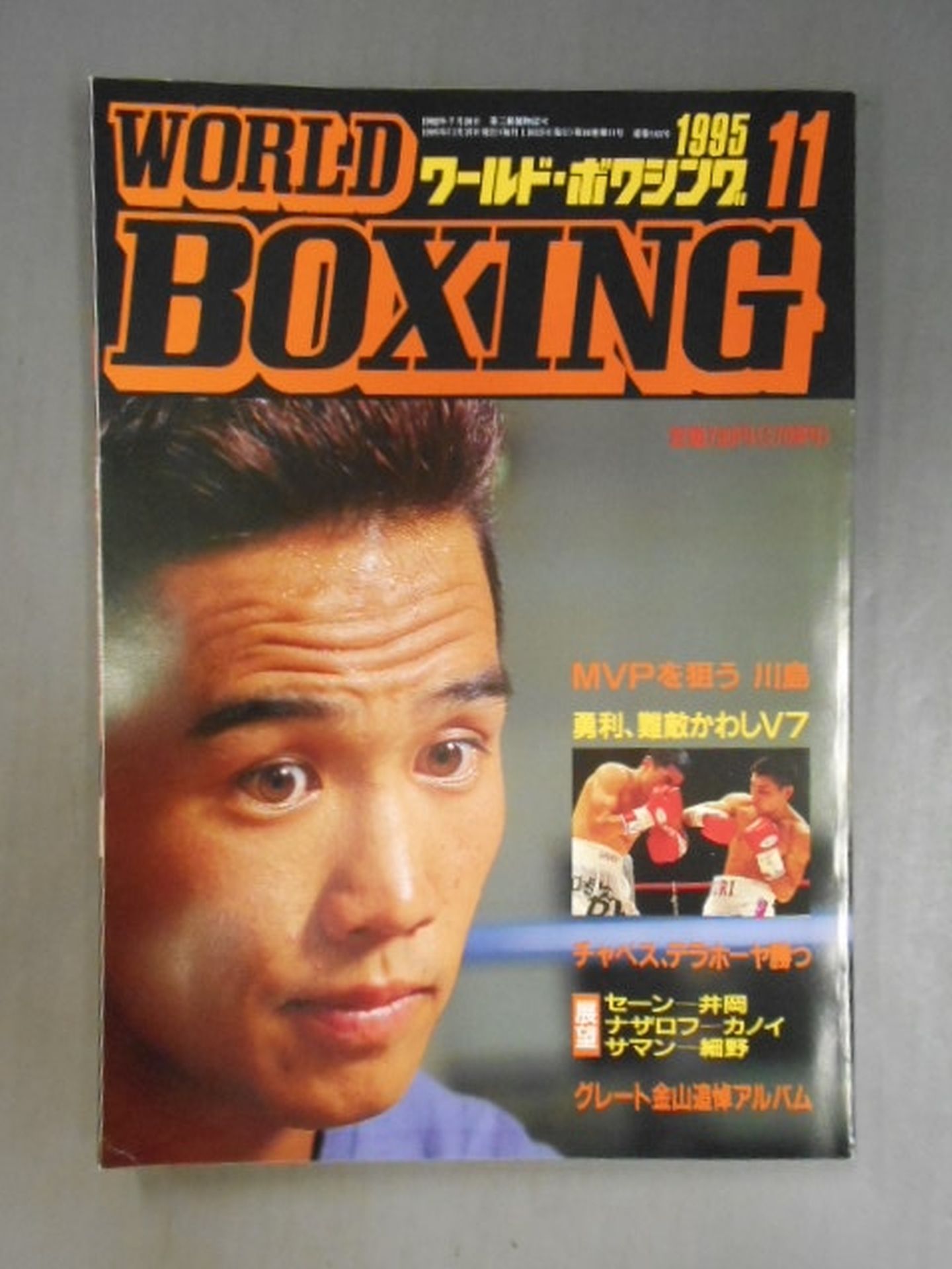 ワールドボクシングVol.14 No.11