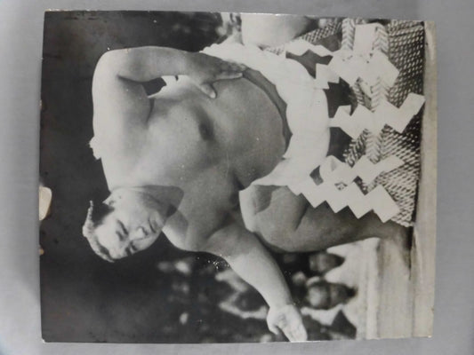 Kitanoumi  Black and White  Photo Panel