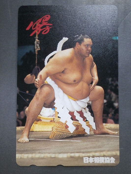 Japan Sumo Association AKEBONO
