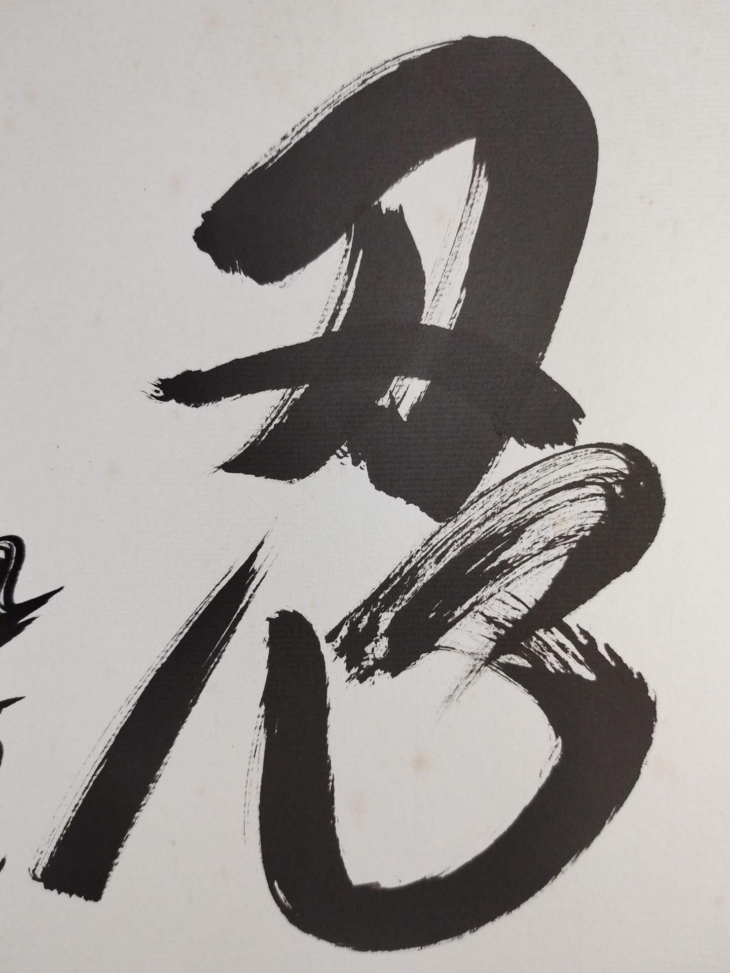 ★忍★ 九重貢(元千代の富士)