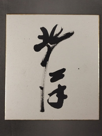 北の洋