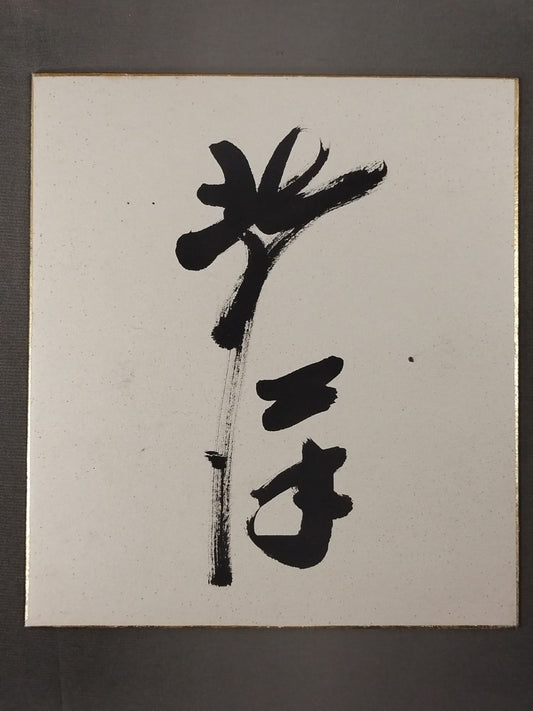 北の洋