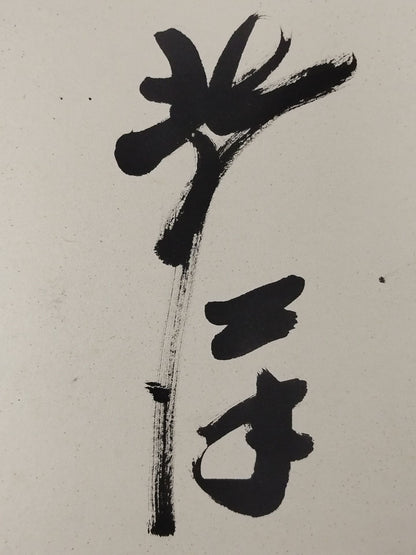 北の洋