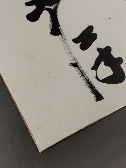 北の洋
