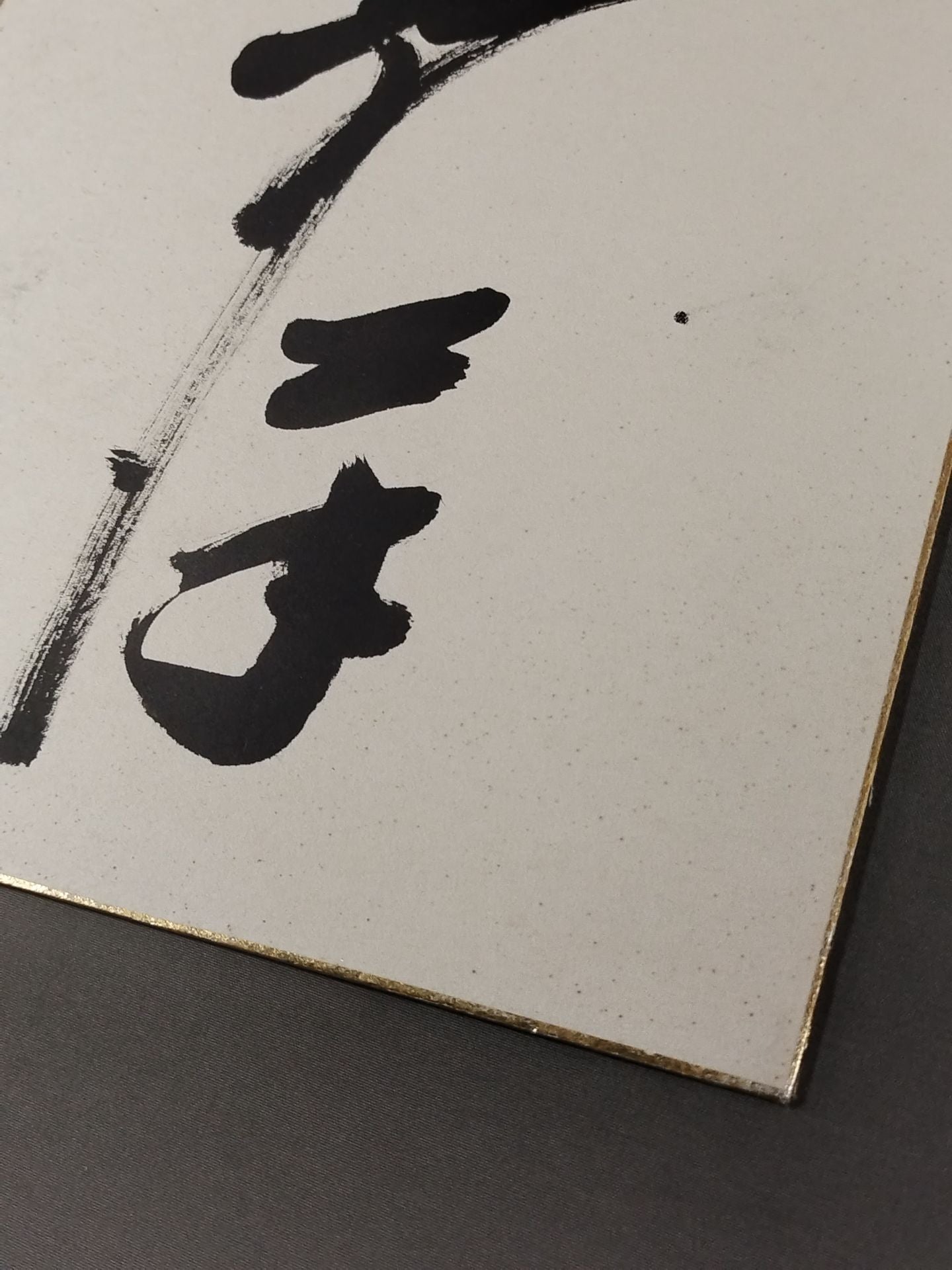 北の洋