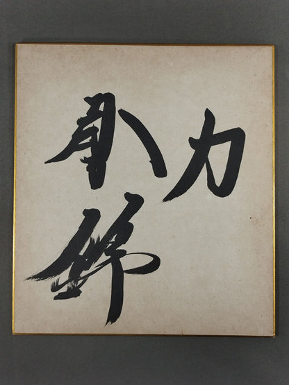 ★力★ 琴錦