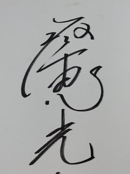琴恵光