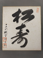 2004282234000217_1_medium.jpg?