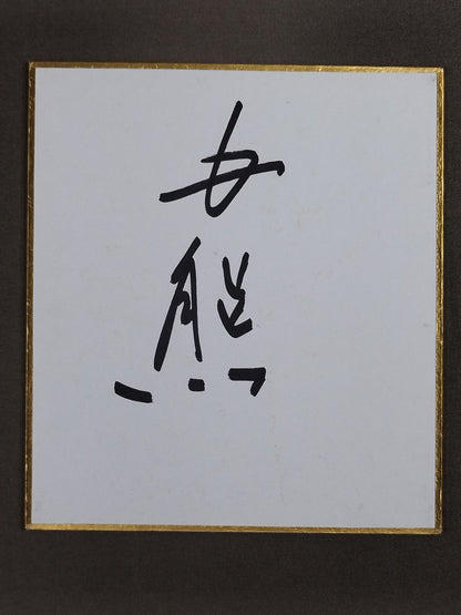 白熊