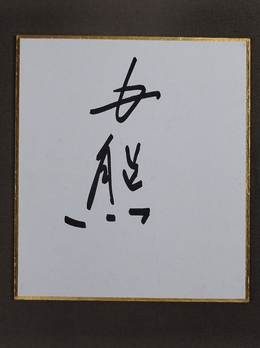 白熊