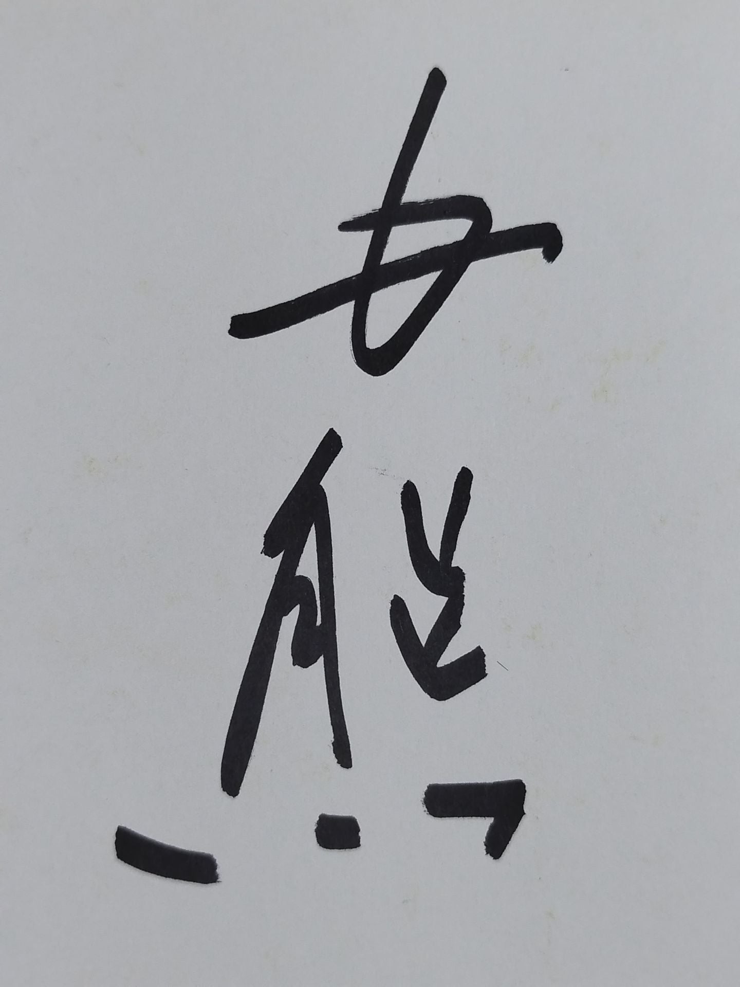 白熊