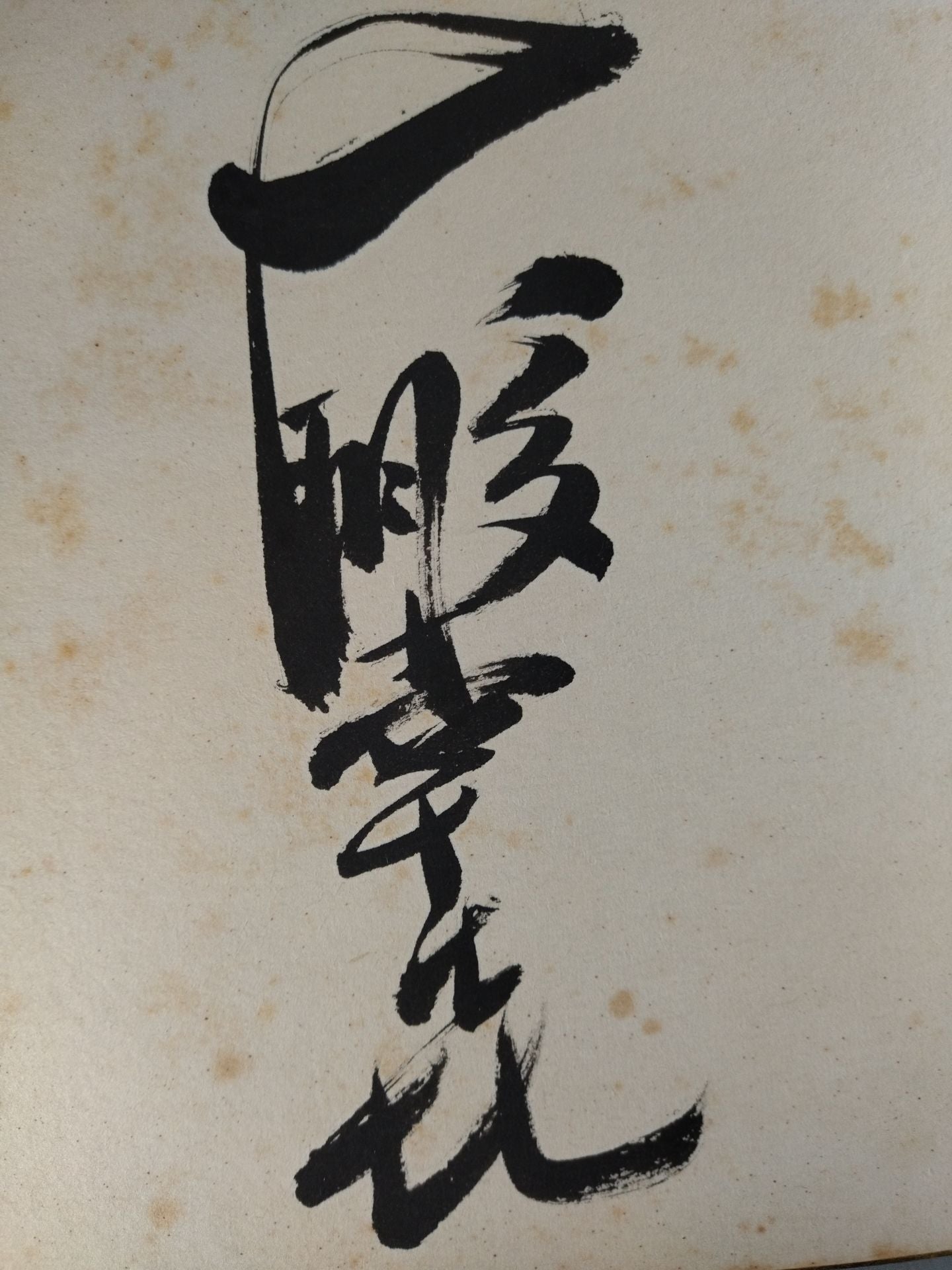 大鵬