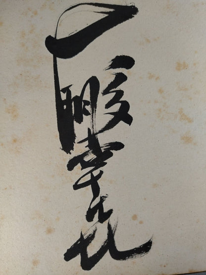 大鵬