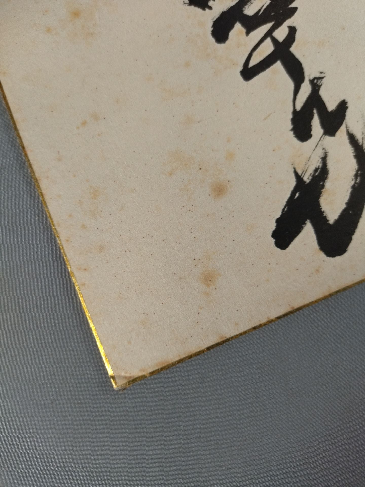 大鵬