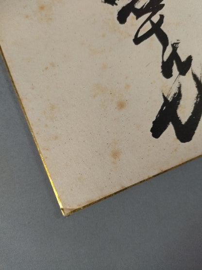 大鵬
