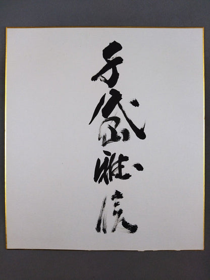 千代の山