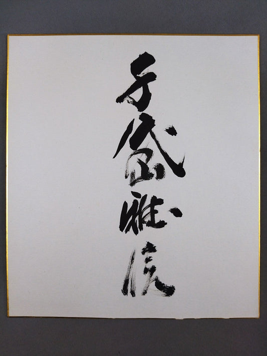 千代の山