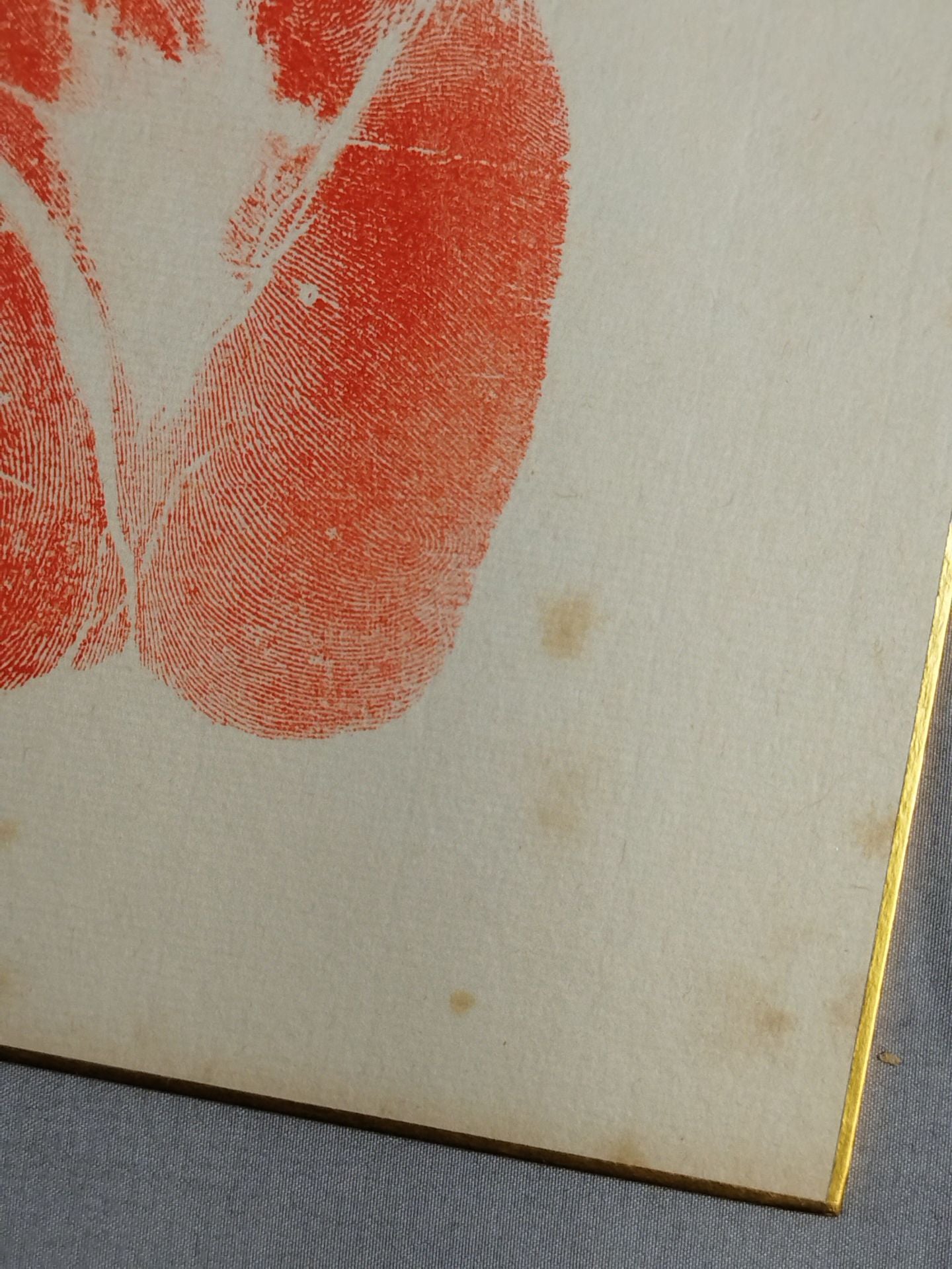 Dewa flower (witzh handprint )