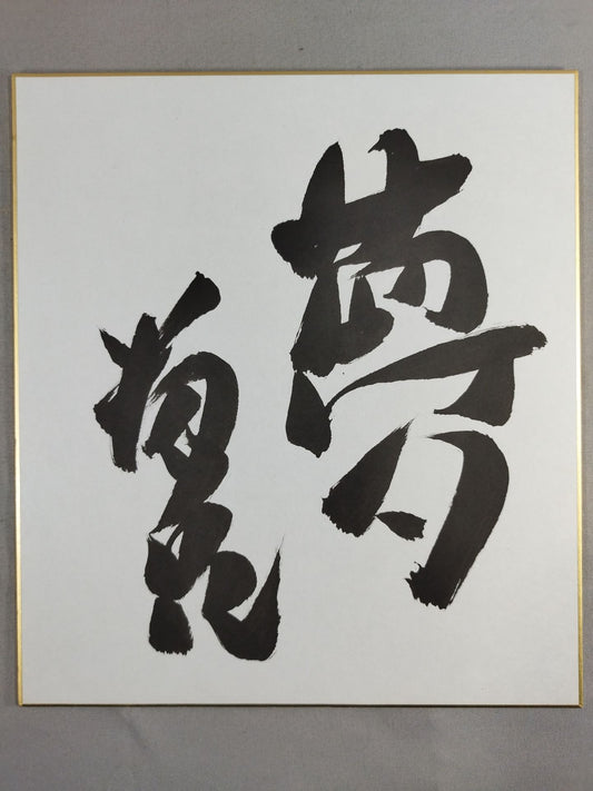 ★ ★ Dream Takanohana