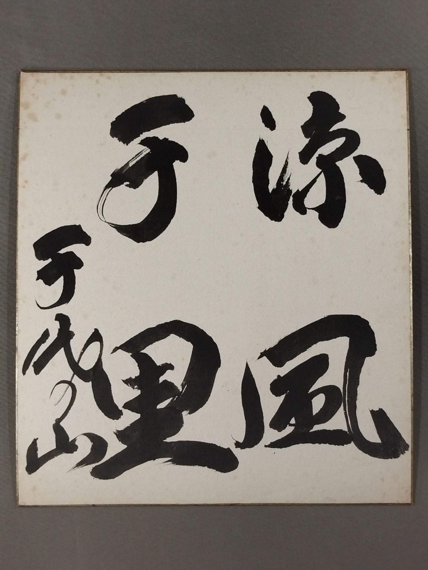 ★涼風千里★ 千代の山