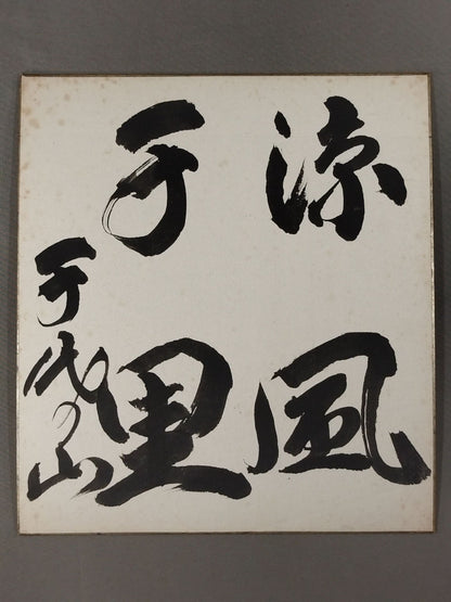 ★涼風千里★ 千代の山