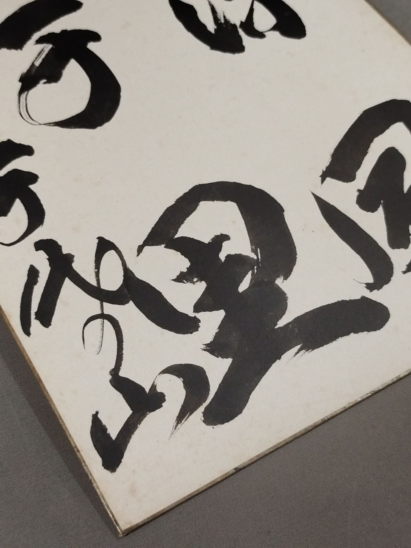★涼風千里★ 千代の山