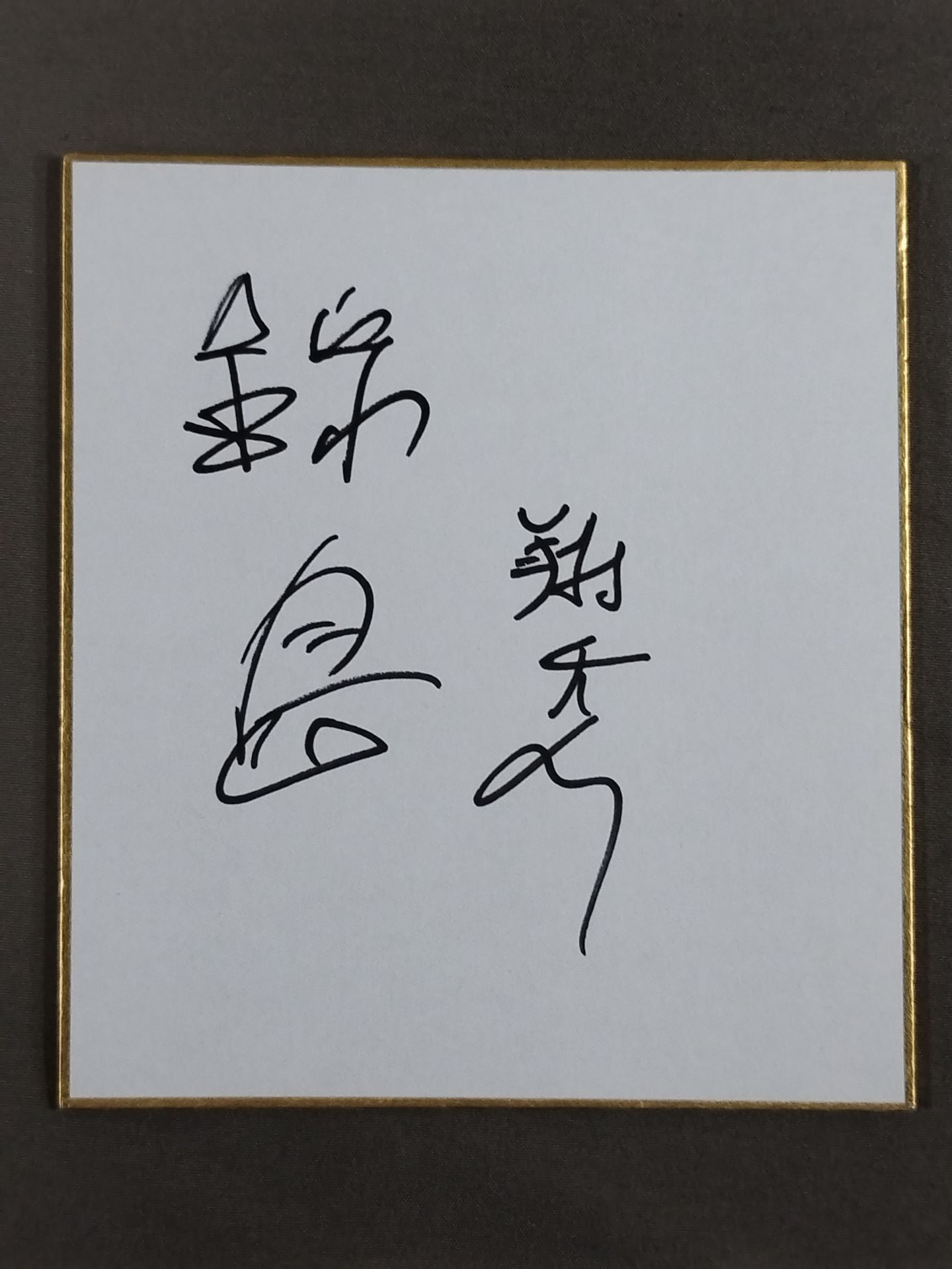 錦島(元翔天狼)