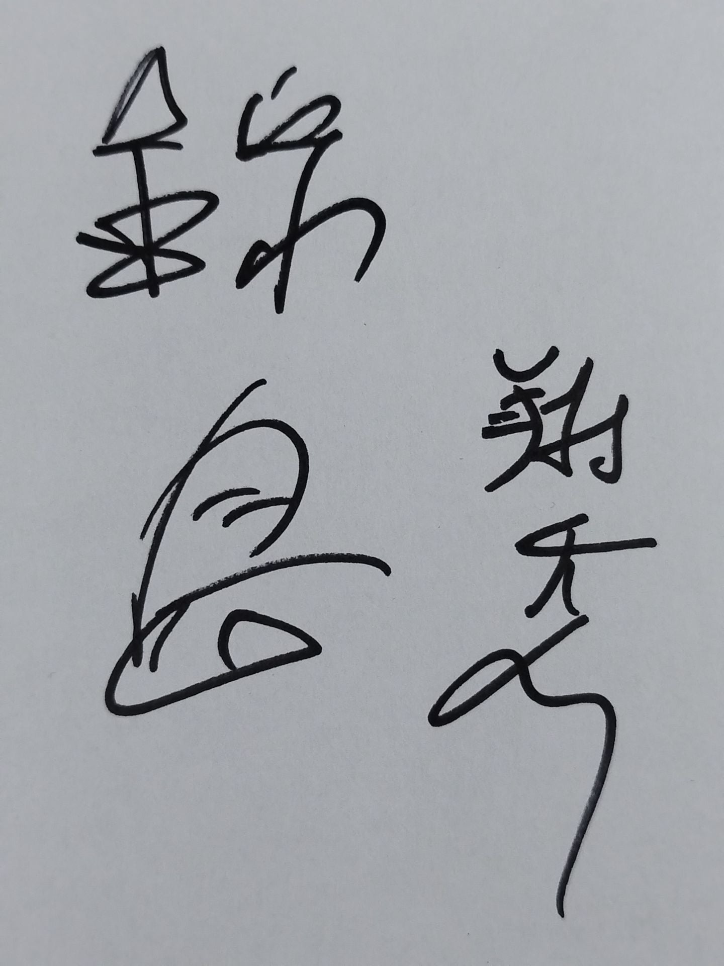 錦島(元翔天狼)