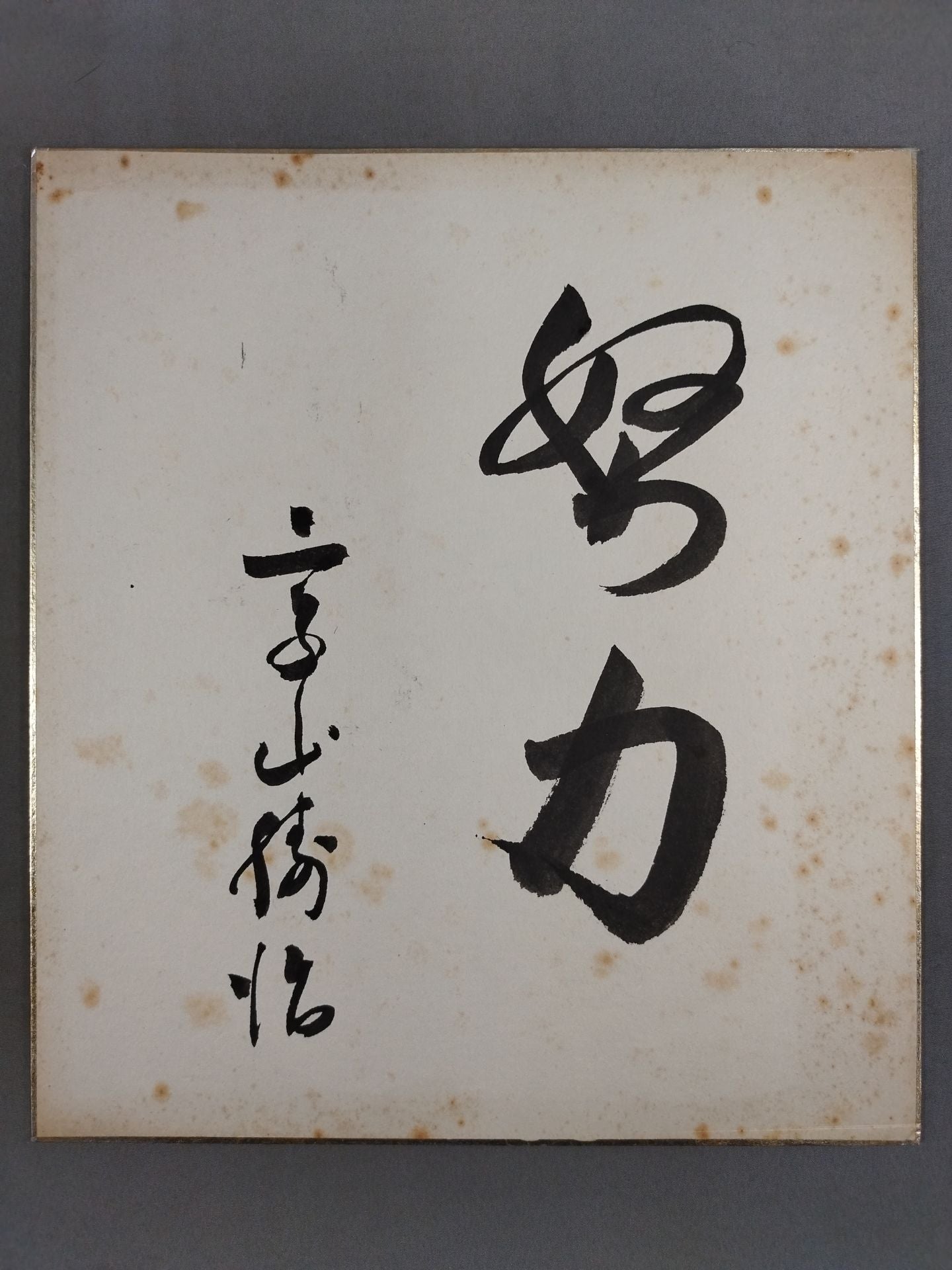 ★努力★ 二子山(初代若乃花)