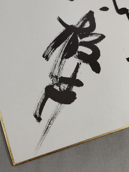 板井＆若瀬川＆天剛山＆神幸