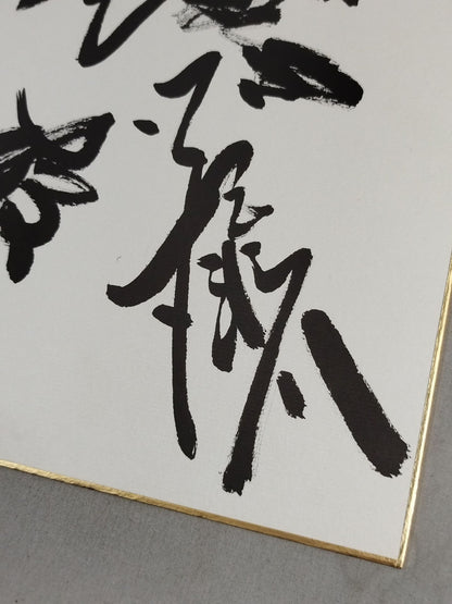 板井＆若瀬川＆天剛山＆神幸