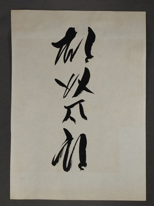 Asashio  Taro (3rd )