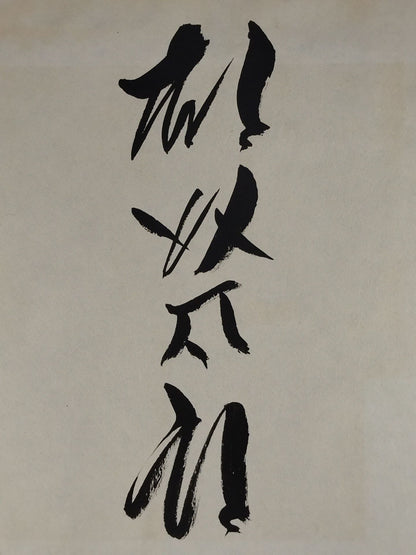 Asashio  Taro (3rd )