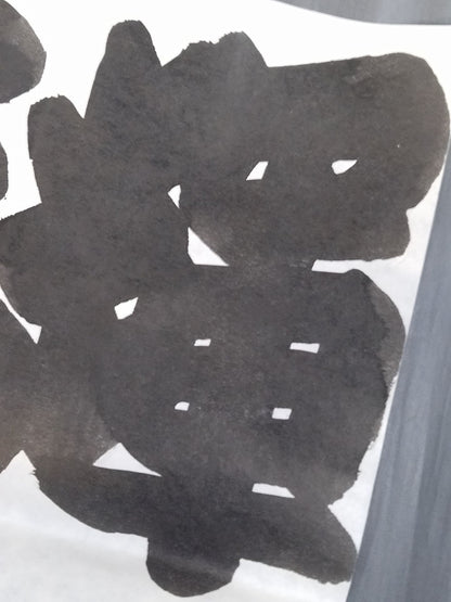 Blue Wolf vs. Teru (Split Paper)