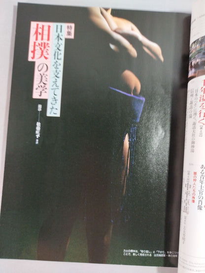 Bijutsu Shincho July 1993