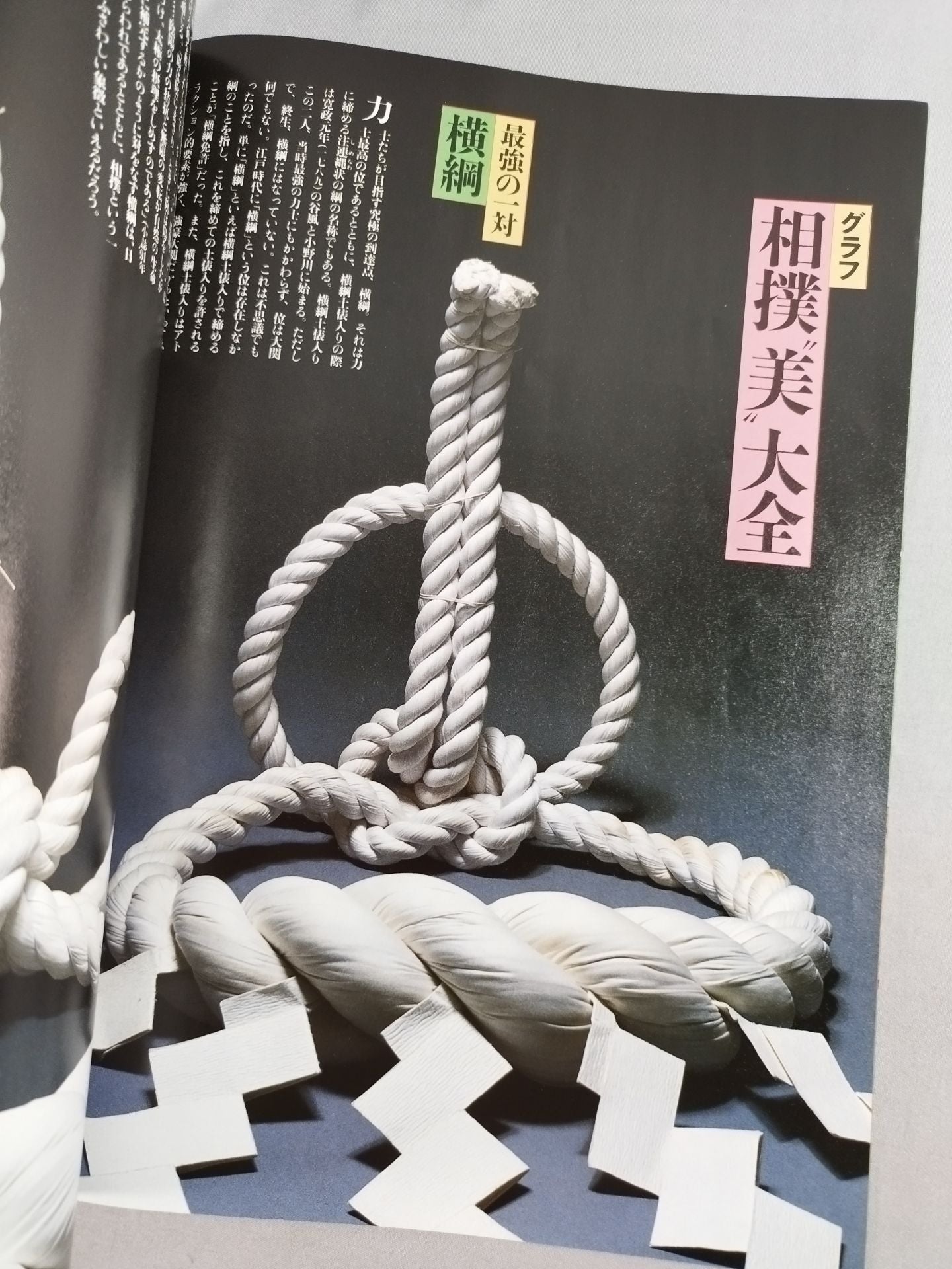 Bijutsu Shincho July 1993
