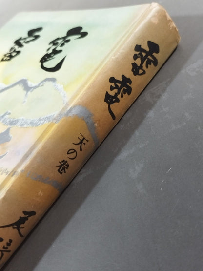 Raiden Heavenly Scroll