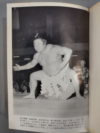 近代土俵の華 栃錦清隆