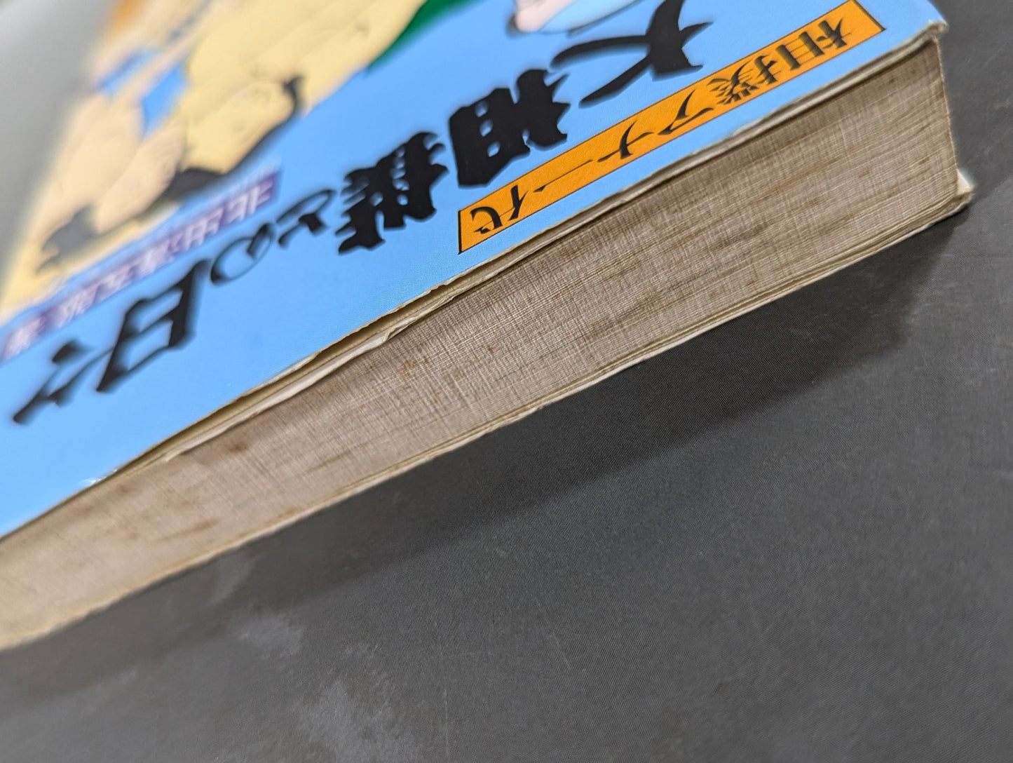 Days with sumo wrestling Sumo Anna Ichiyo