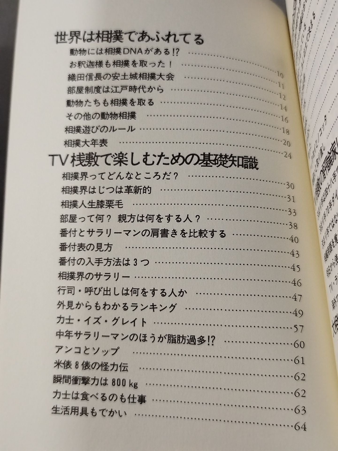 相撲ウォッチング